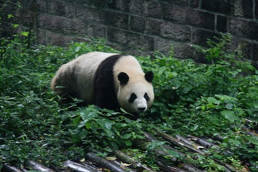 Hey hey hey, I heard you are looking for me.