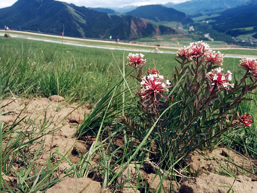 20140621_151730_Android_meitu_36