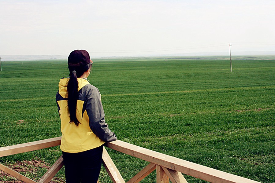 The Rape Flowers Field