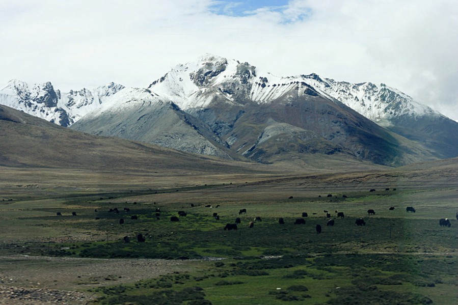 IMG_0586_meitu_8_meitu_9