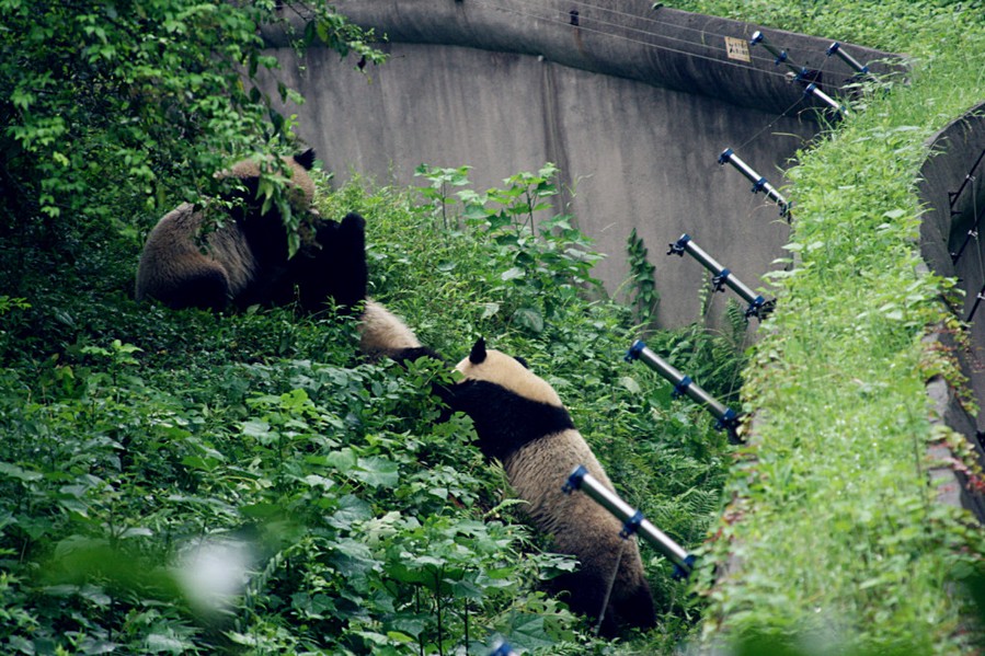 Hey buddy! Come and play, it's not like you have other things to do